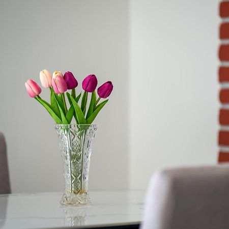 Apartment Gioia Rovinj Zewnętrze zdjęcie